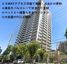 大阪市城東区新喜多東、マンションの外観画像です