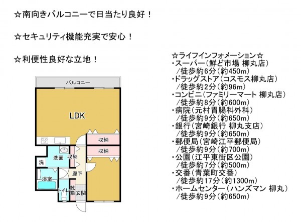 宮崎市柳丸町、マンションの間取り画像です