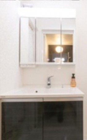 大阪市都島区中野町、中古一戸建ての洗面画像です