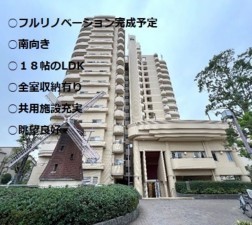 大阪市鶴見区今津南、マンションの外観画像です