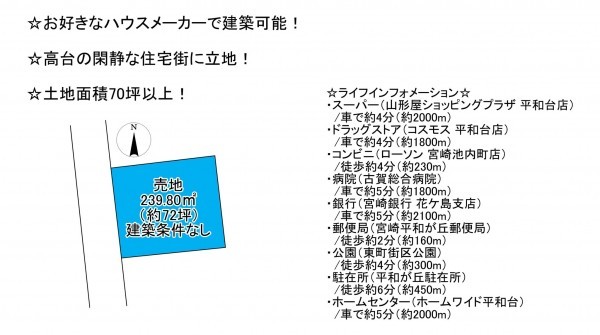 宮崎市平和が丘北町、土地の間取り画像です