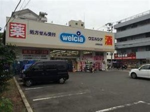 大阪市生野区小路東、中古一戸建てのドラッグストア画像です