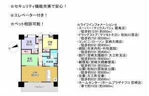 宮崎市大橋、マンションの間取り画像です