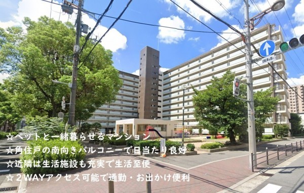 大阪市城東区関目、マンションの外観画像です