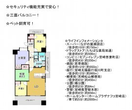 宮崎市松山、マンションの間取り画像です