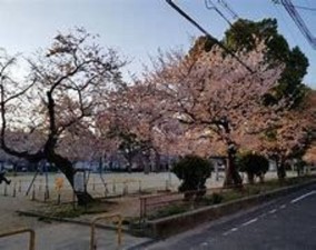 大阪市都島区内代町、マンションの公園画像です