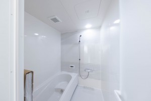 都城市都原町、新築一戸建ての風呂画像です