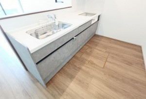 宮崎市村角町、新築一戸建ての画像です