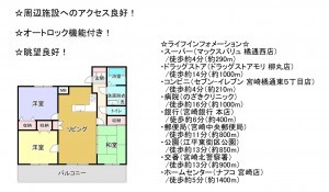 宮崎市橘通西、マンションの間取り画像です