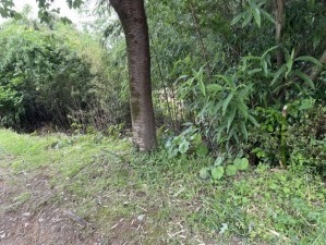 宮崎市内海、土地の画像です