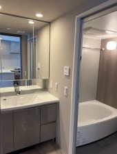 大阪市城東区鴫野西、マンションの洗面画像です