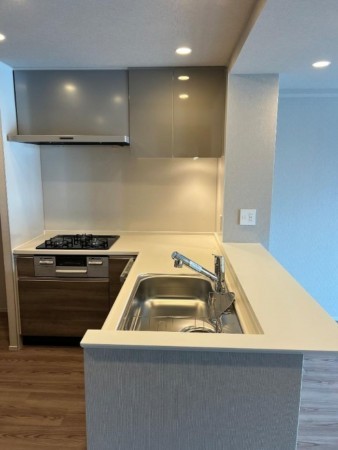 大阪市城東区鴫野西、マンションのキッチン画像です