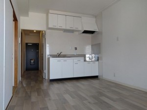 大阪市都島区大東町、マンションのキッチン画像です