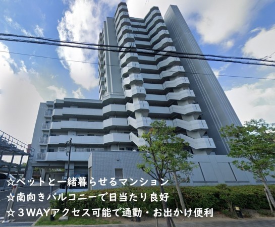 大阪市城東区天王田、マンションの外観画像です