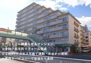 大阪市城東区中央、マンションの外観画像です