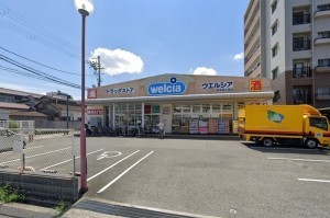 大阪市東成区深江南、中古一戸建てのドラッグストア画像です