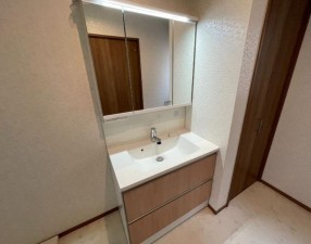 大阪市生野区田島、中古一戸建ての洗面画像です