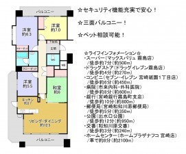 宮崎市和知川原、マンションの間取り画像です
