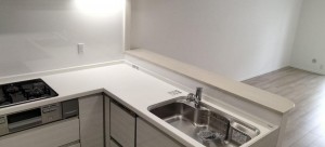 大阪市都島区大東町、マンションのキッチン画像です
