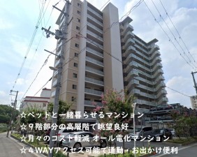 大阪市城東区野江、マンションの外観画像です