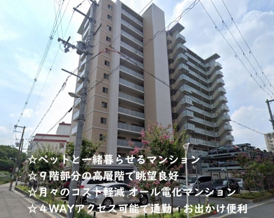 大阪市城東区野江、マンションの外観画像です