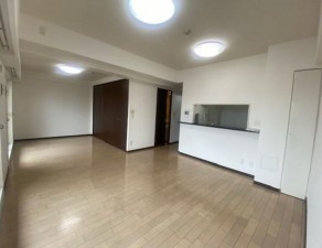 大阪市東成区東小橋、マンションの居間画像です