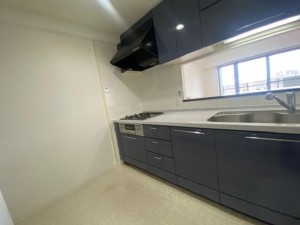 大阪市東成区東小橋、マンションのキッチン画像です
