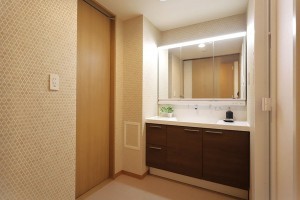 大阪市東成区玉津、マンションの洗面画像です