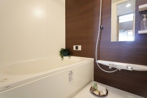 大阪市東成区玉津、マンションの風呂画像です