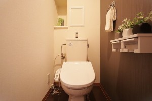 大阪市東成区玉津、マンションのトイレ画像です