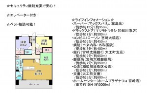 宮崎市大橋、マンションの間取り画像です