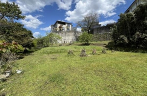 宮崎市大坪町、土地の画像です