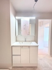 大阪市都島区友渕町、マンションの洗面画像です