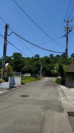 宮崎市青島、土地の画像です