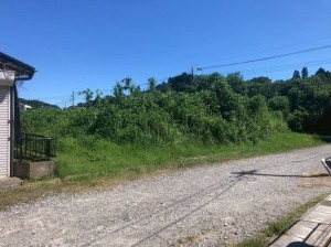 宮崎市佐土原町西上那珂、土地の画像です