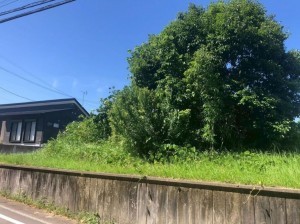 宮崎市佐土原町西上那珂、土地の画像です