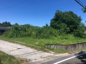 宮崎市佐土原町西上那珂、土地の画像です