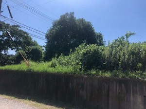 宮崎市佐土原町西上那珂、土地の画像です