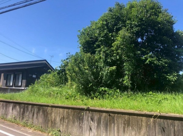 宮崎市佐土原町西上那珂、土地の画像です