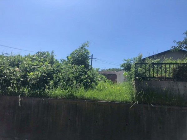 宮崎市佐土原町西上那珂、土地の画像です