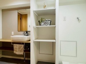 大阪市城東区古市、マンションの洗面画像です