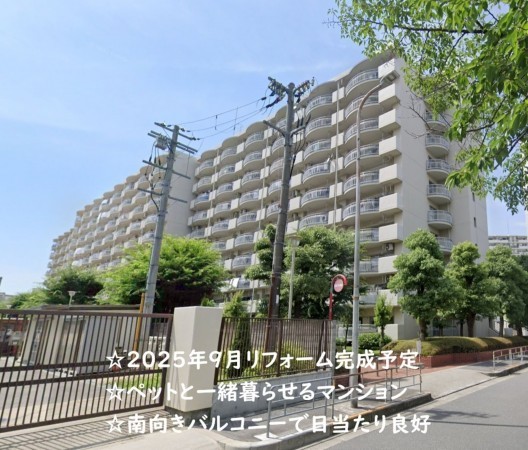 大阪市都島区友渕町、マンションの外観画像です