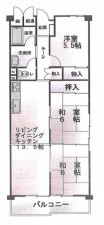 大阪市鶴見区今津中、マンションの間取り画像です