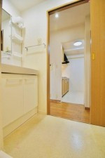 大阪市都島区友渕町、マンションの洗面画像です