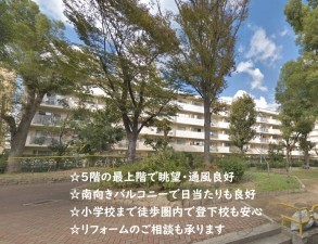 大阪市都島区毛馬町、マンションの外観画像です