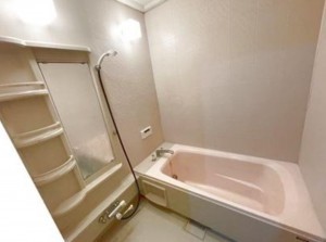 大阪市生野区生野西、中古一戸建ての風呂画像です