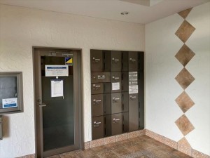 宮崎市城ケ崎、マンションの画像です