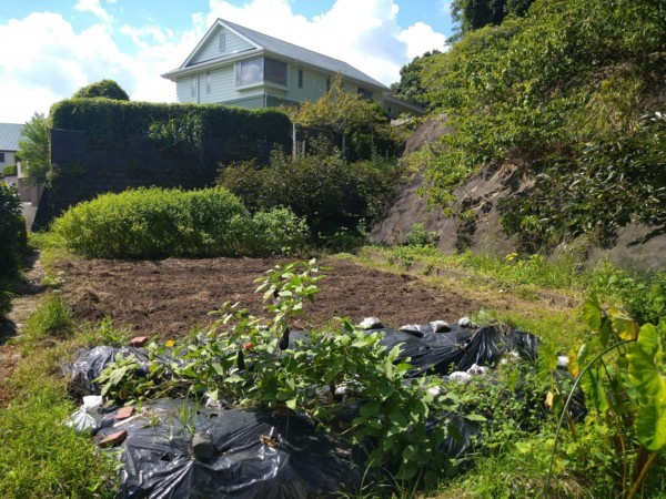 宮崎市大塚台東、土地の画像です