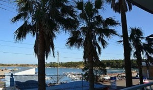 宮崎市赤江、マンションの画像です