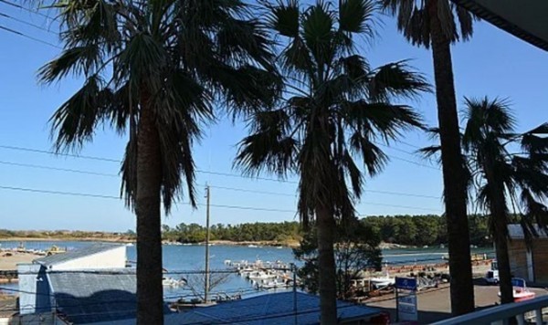 宮崎市赤江、マンションの画像です